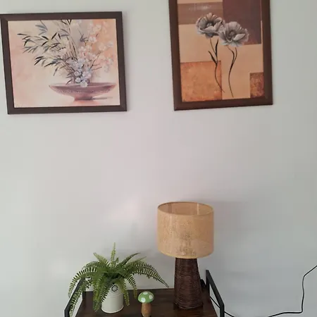 Tjalk Apartment Emden